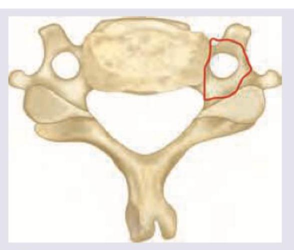 Image for question 367