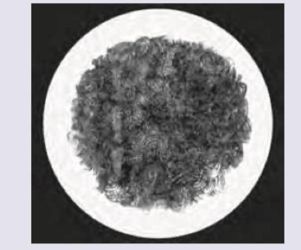 Image for question 10