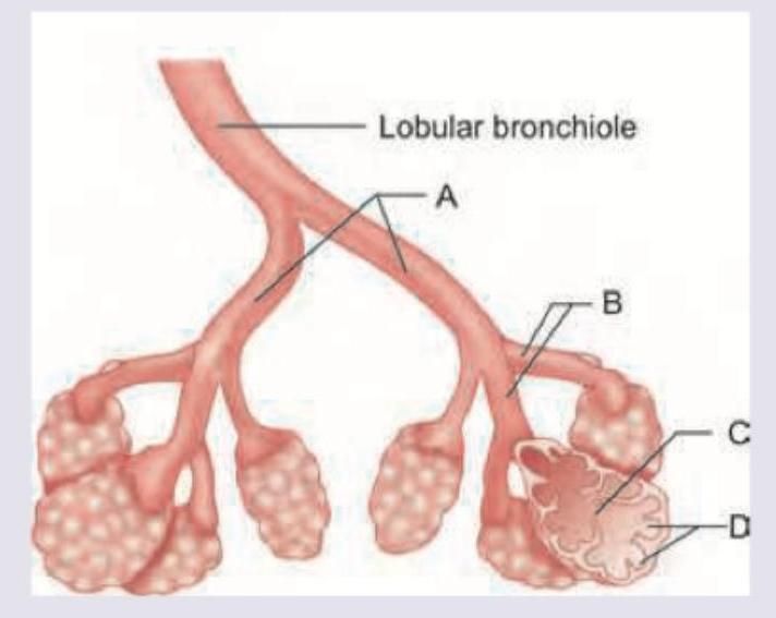 Image for question 9