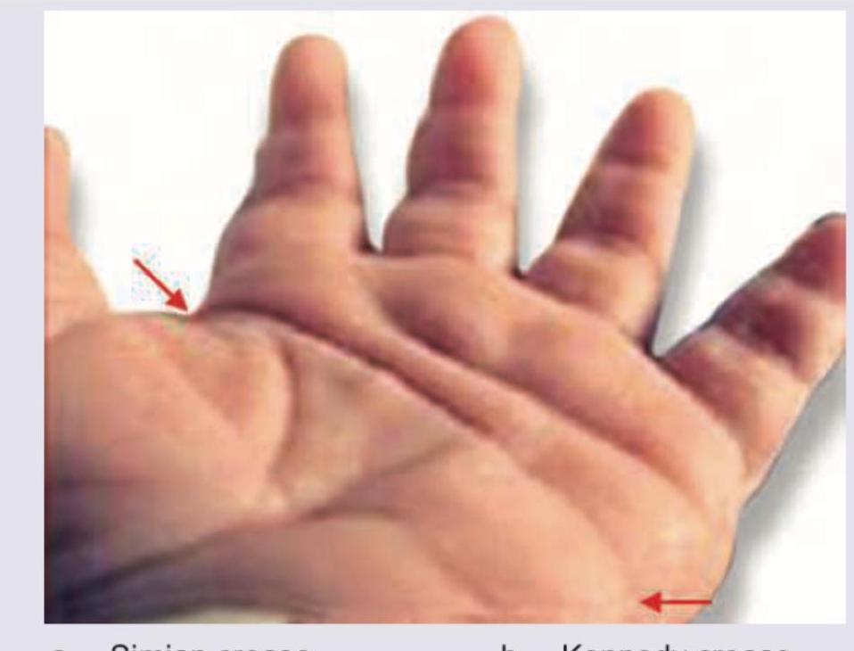 Image for question 6