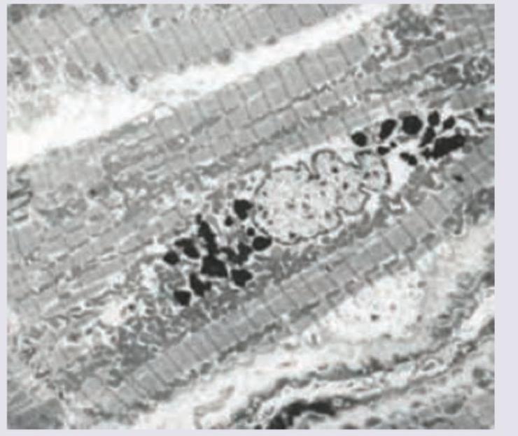 Image for question 8