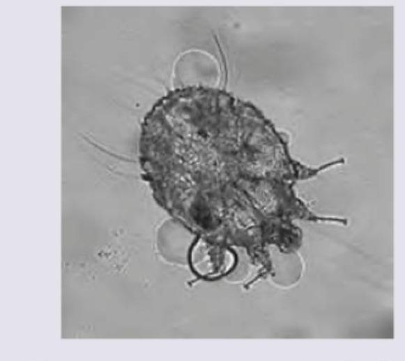 Image for question 6