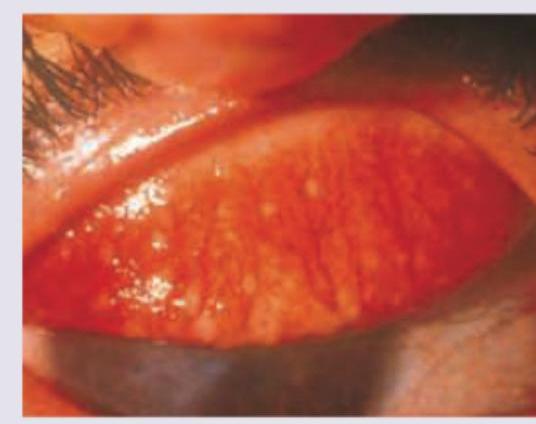 Image for question 6