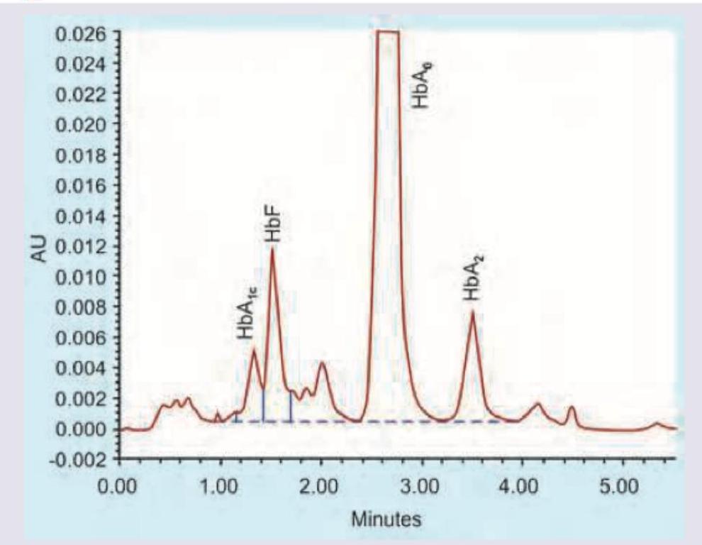 Image for question 8