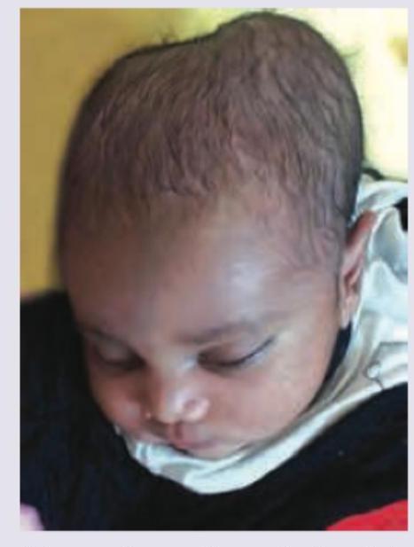 Image for question 14