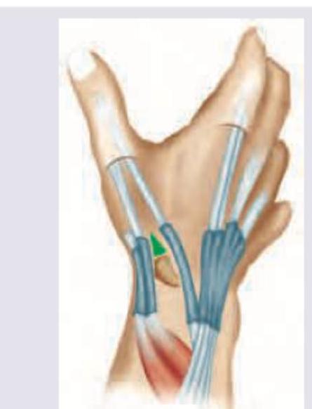 Image for question 8