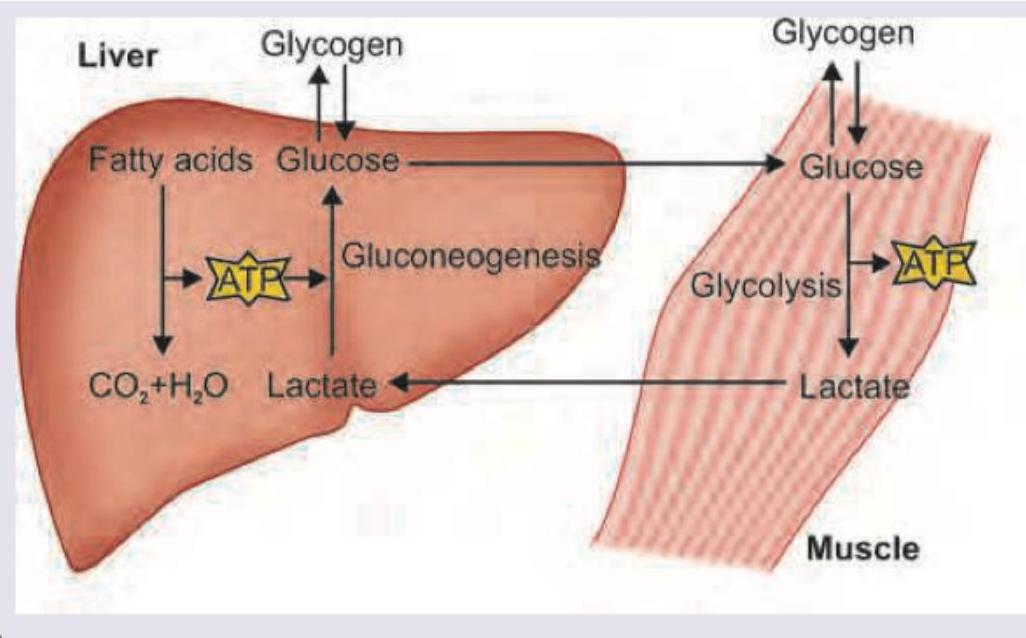 Image for question 650