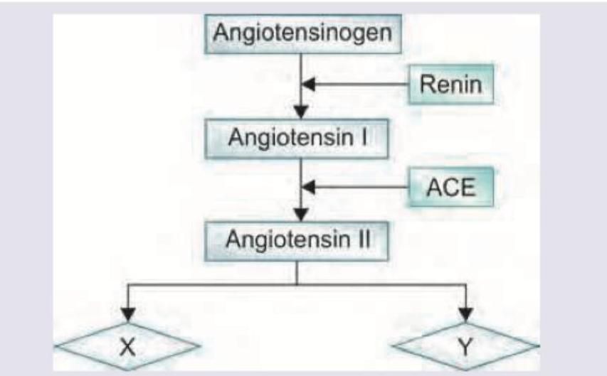 Image for question 960