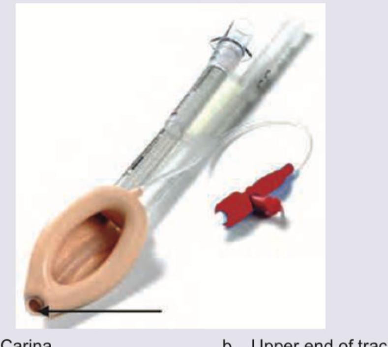 Image for question 2