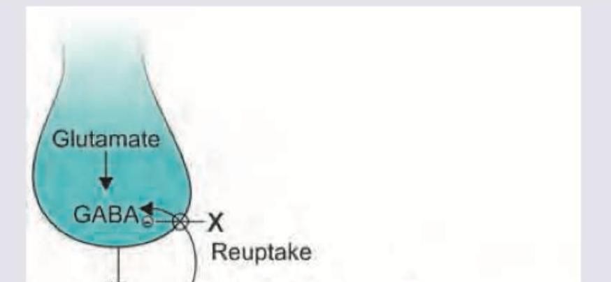 Image for question 7