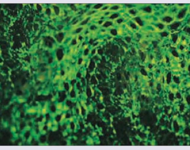 Image for question 1