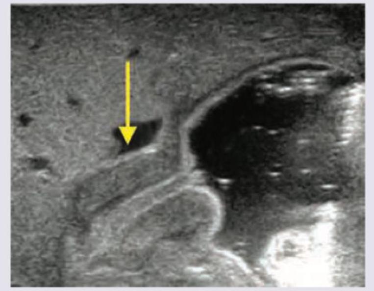 Image for question 9