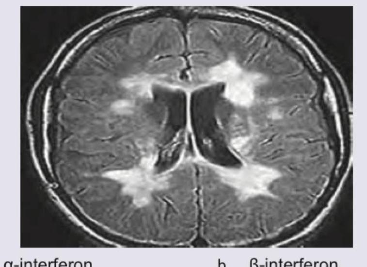 Image for question 10