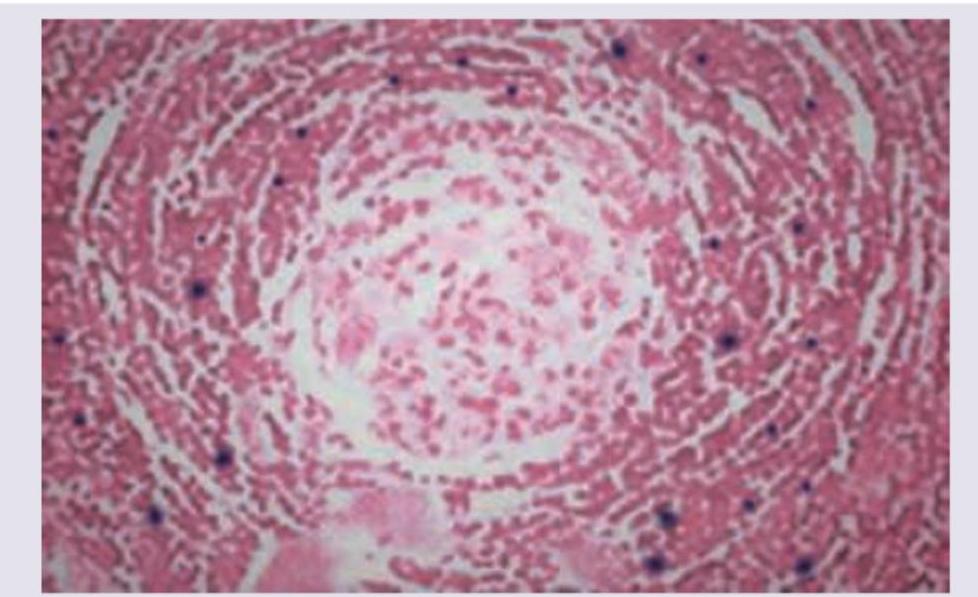 Image for question 2