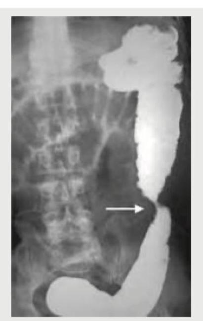 Image for question 250