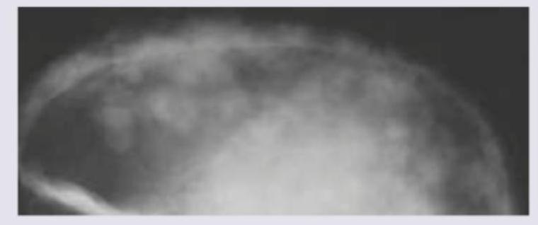 Image for question 23