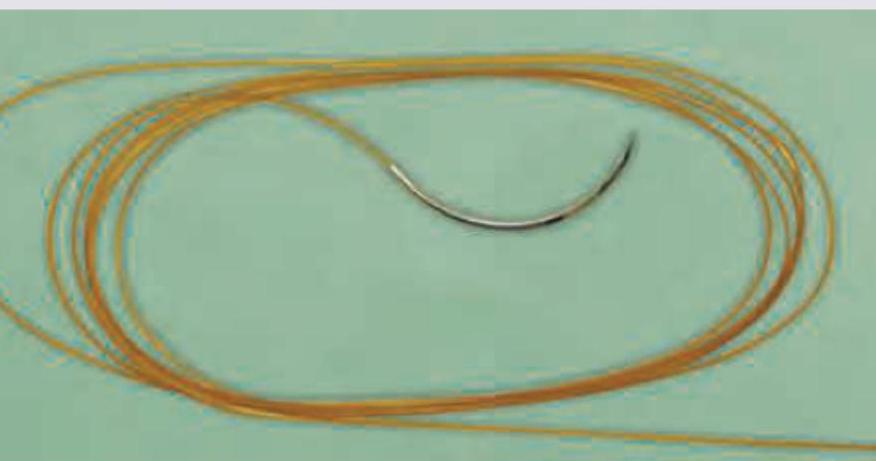 Image for question 790