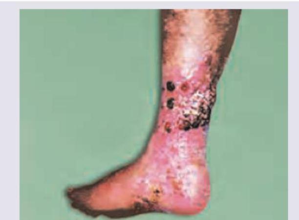 Image for question 15