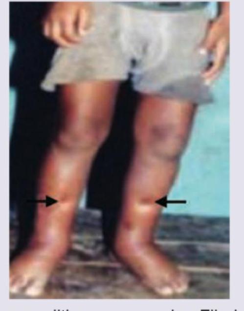 Image for question 8