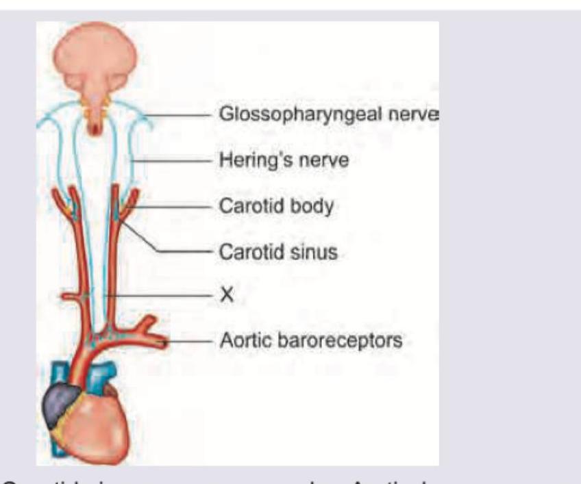 Image for question 101