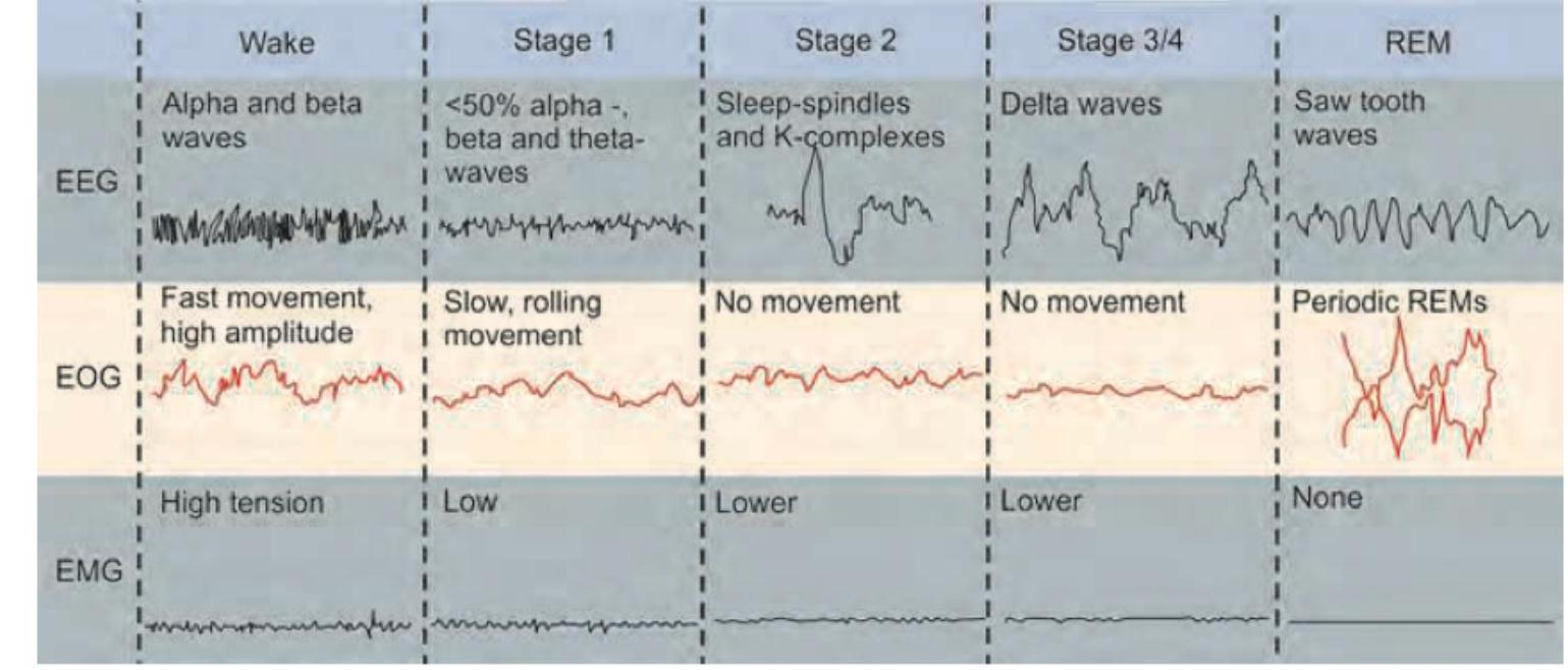 Image for question 8