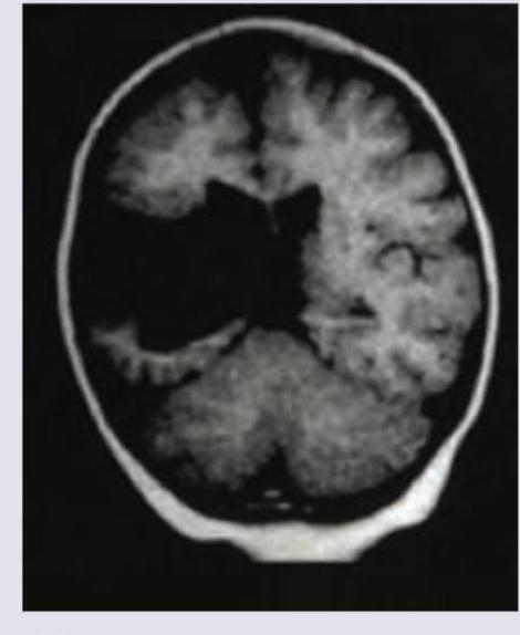 Image for question 4