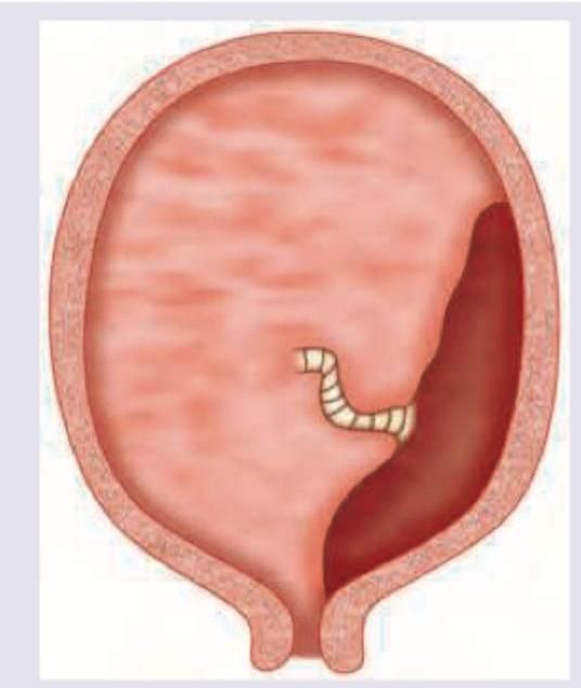 Image for question 9