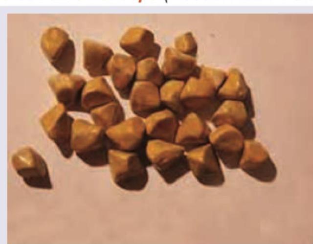 Image for question 16