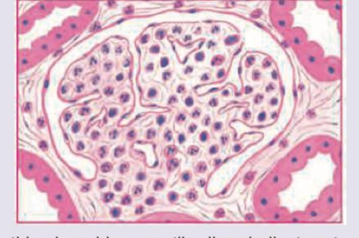 Image for question 188