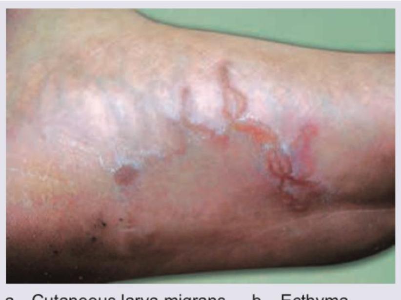 Image for question 54