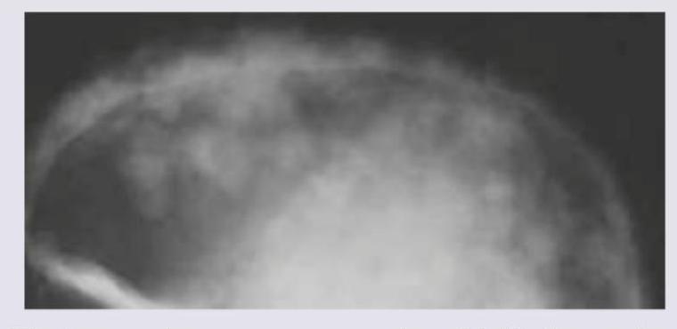 Image for question 21