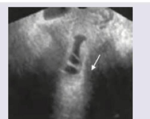 Image for question 3