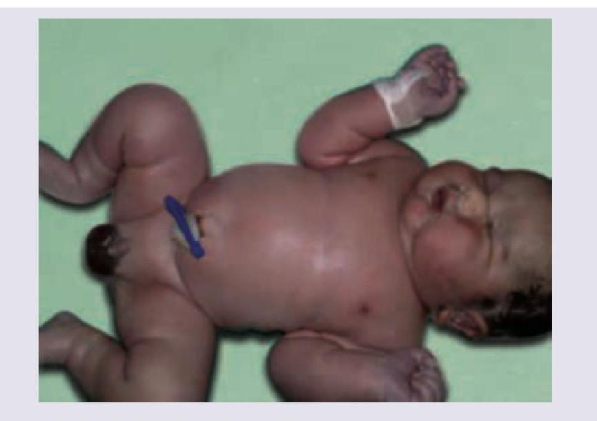 Image for question 8