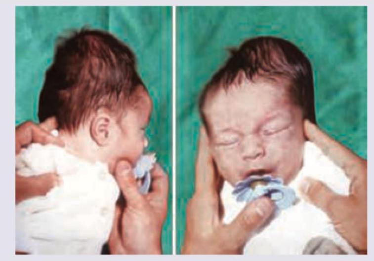 Image for question 10