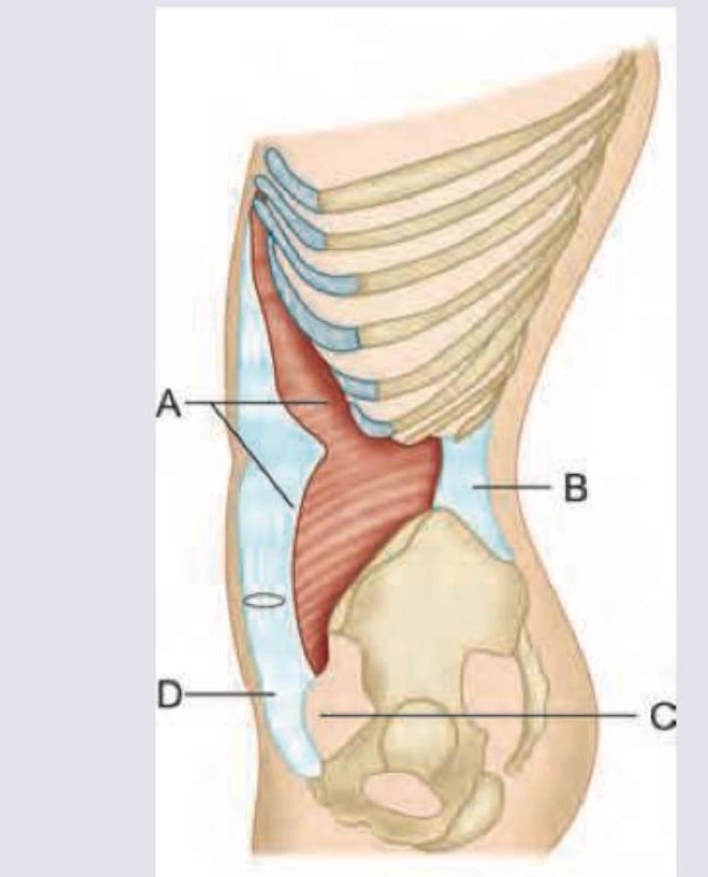 Image for question 63