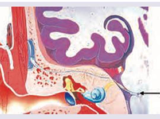 Image for question 3