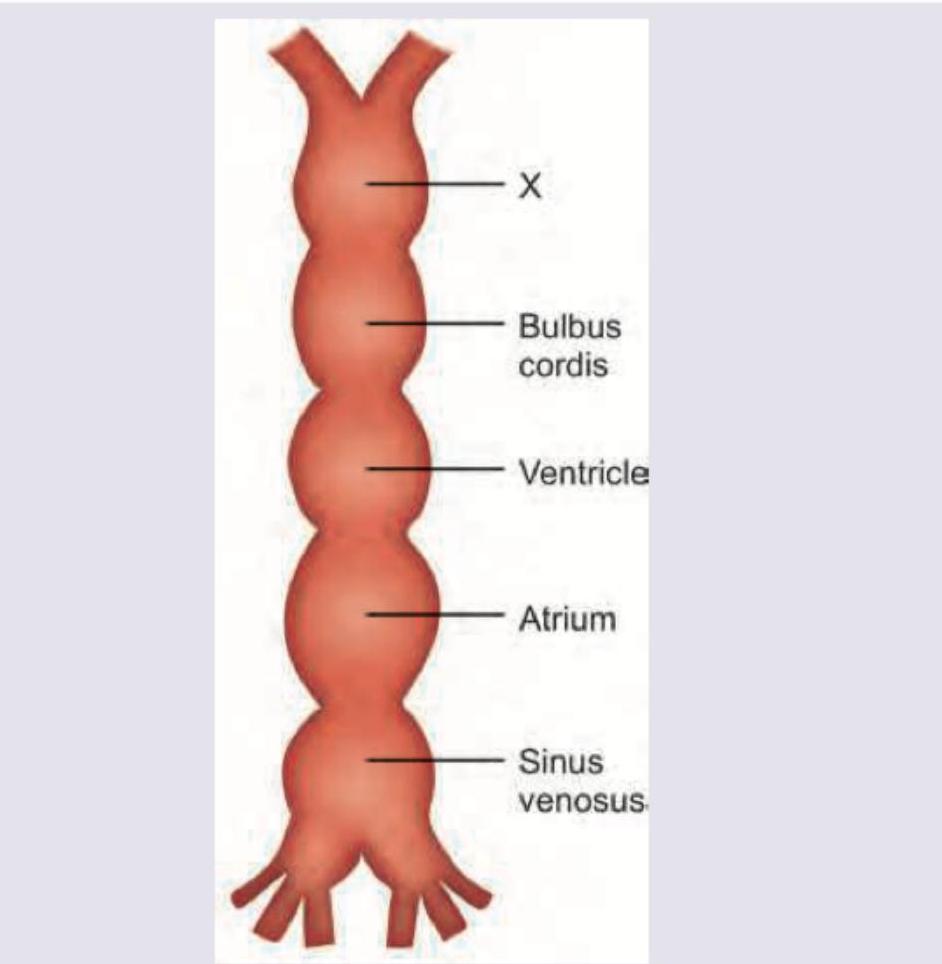 Image for question 8