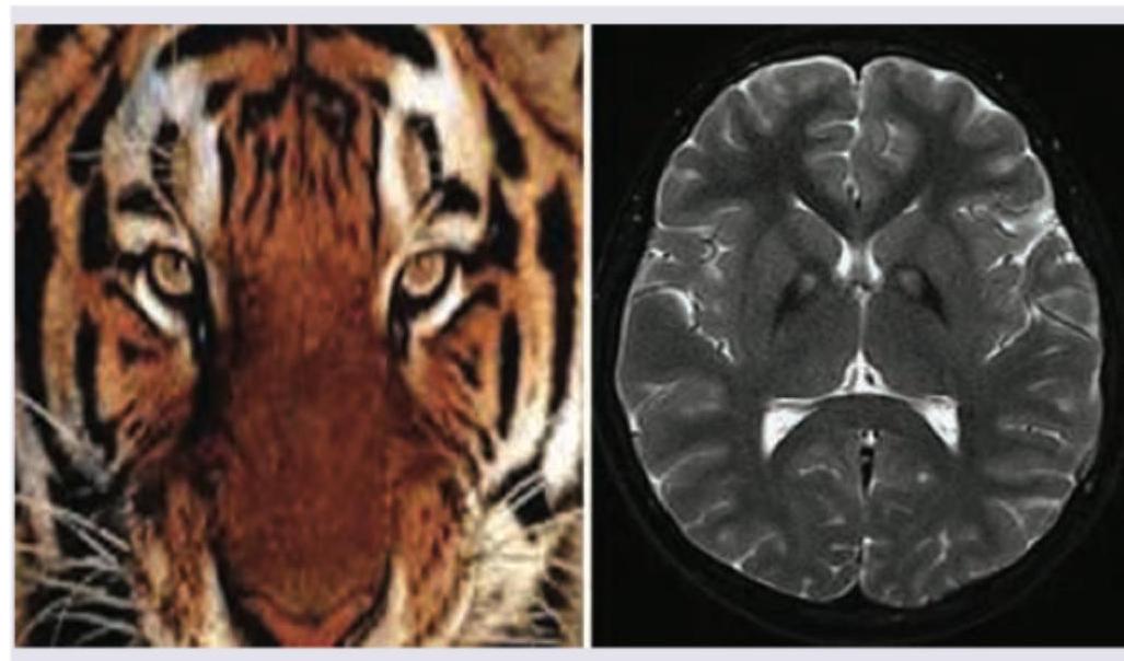 Image for question 345