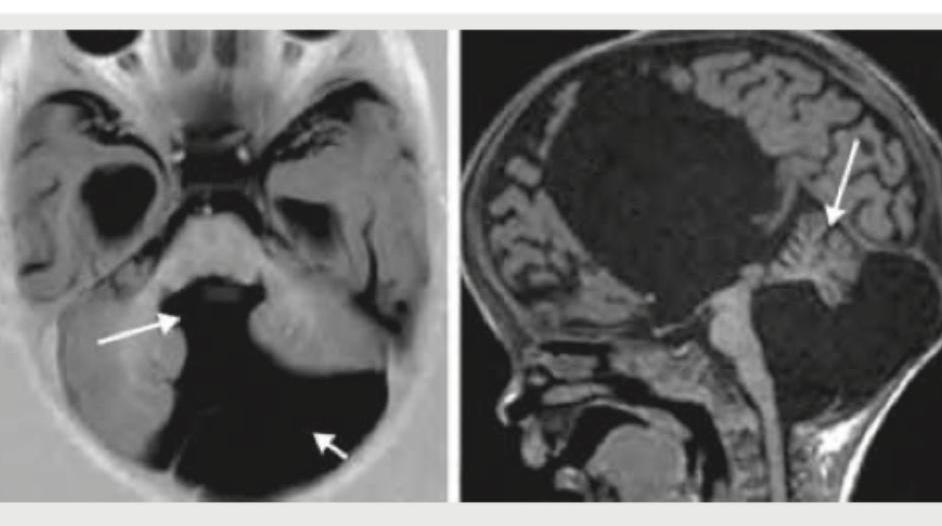 Image for question 67