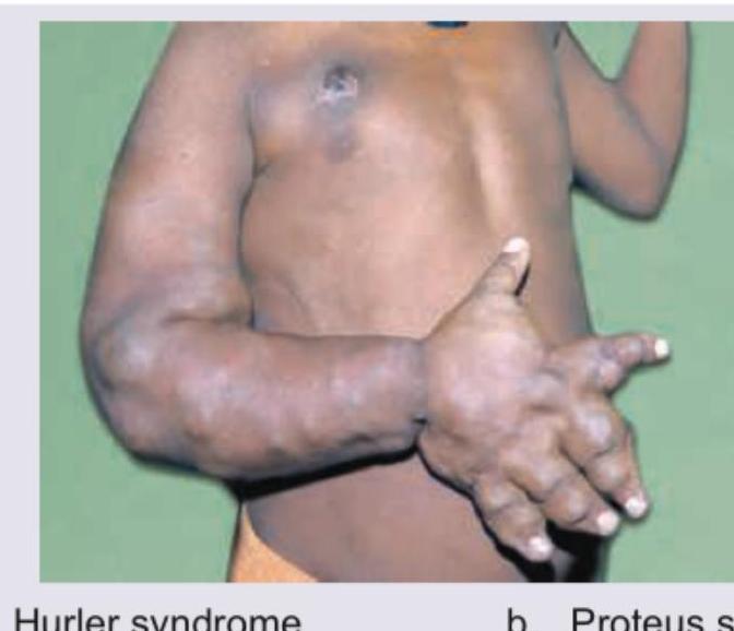 Image for question 640