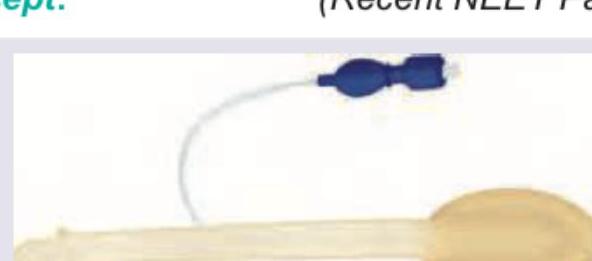 Image for question 298