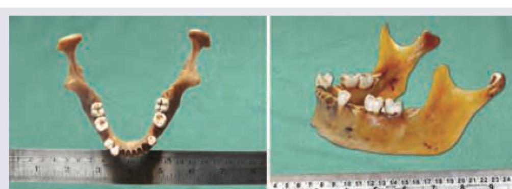 Image for question 12