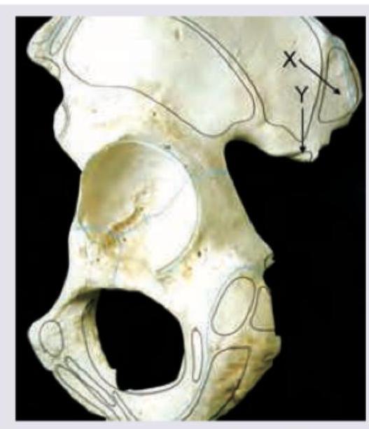 Image for question 506