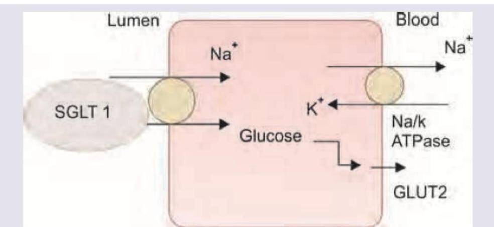 Image for question 10