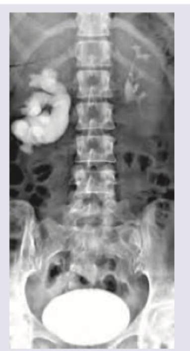 Image for question 24