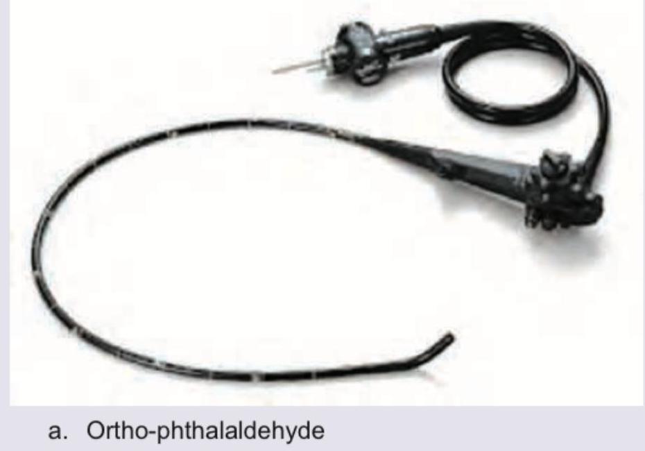 Image for question 48