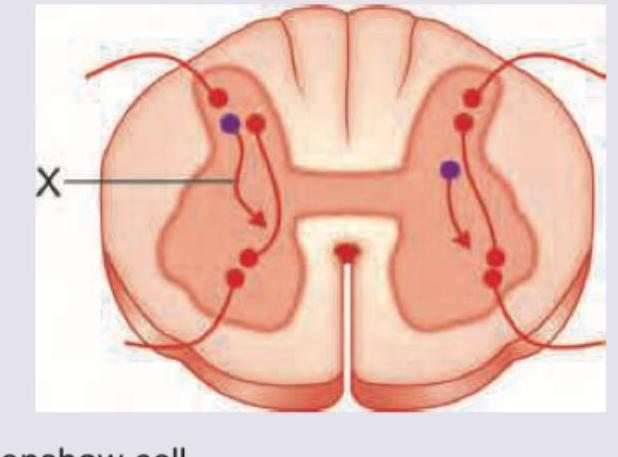 Image for question 8