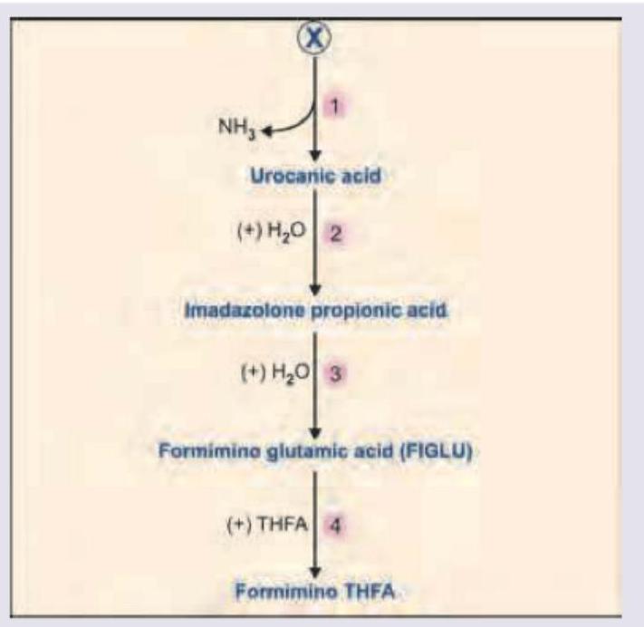 Image for question 2