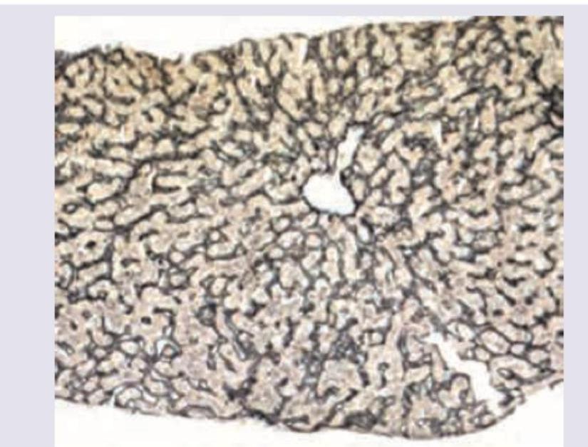 Image for question 10