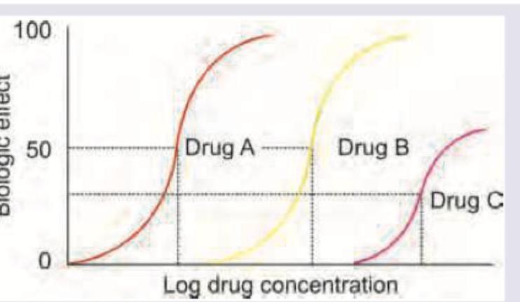 Image for question 10